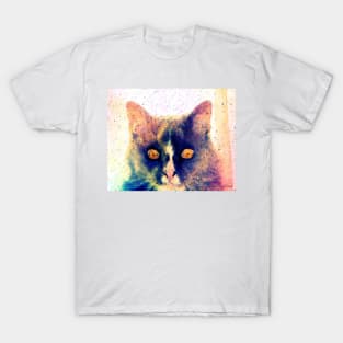 Smokey the Cat "I See You" T-Shirt